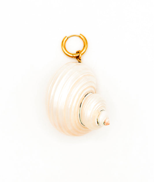 Big shell Timeless Pearly